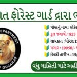 સરકારી નોકરી