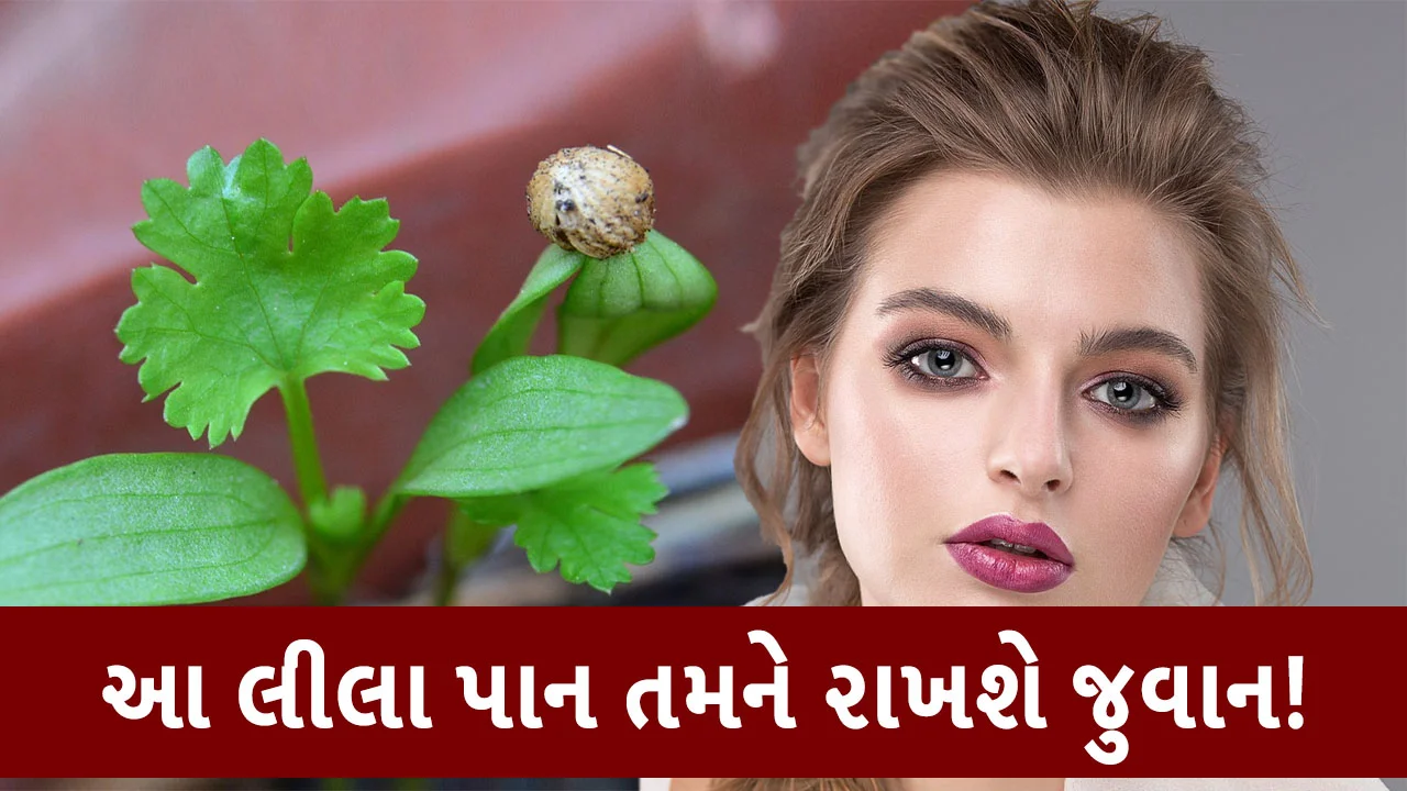 યુવાન રહેવા