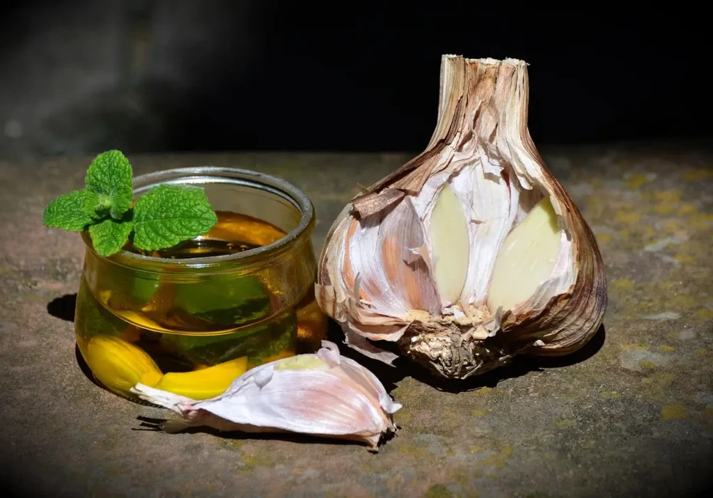 ઘૂંટણનો દુખાવો : લસણનું તેલ