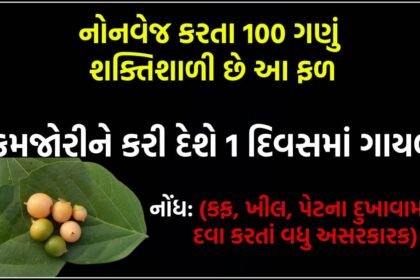 લસોડા
