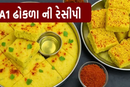 ઢોકળા