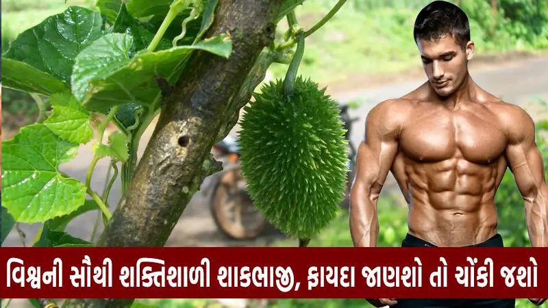 કંકોડા ના અદભુત ફાયદા